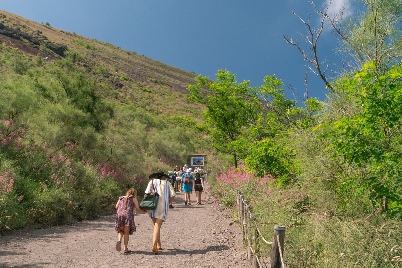 Salita al Gran Cono del Vesuvio