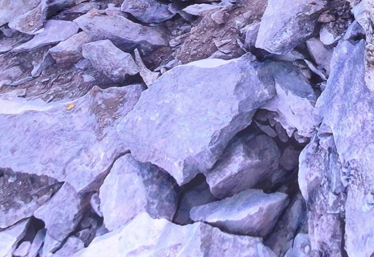 1791141707944-crop