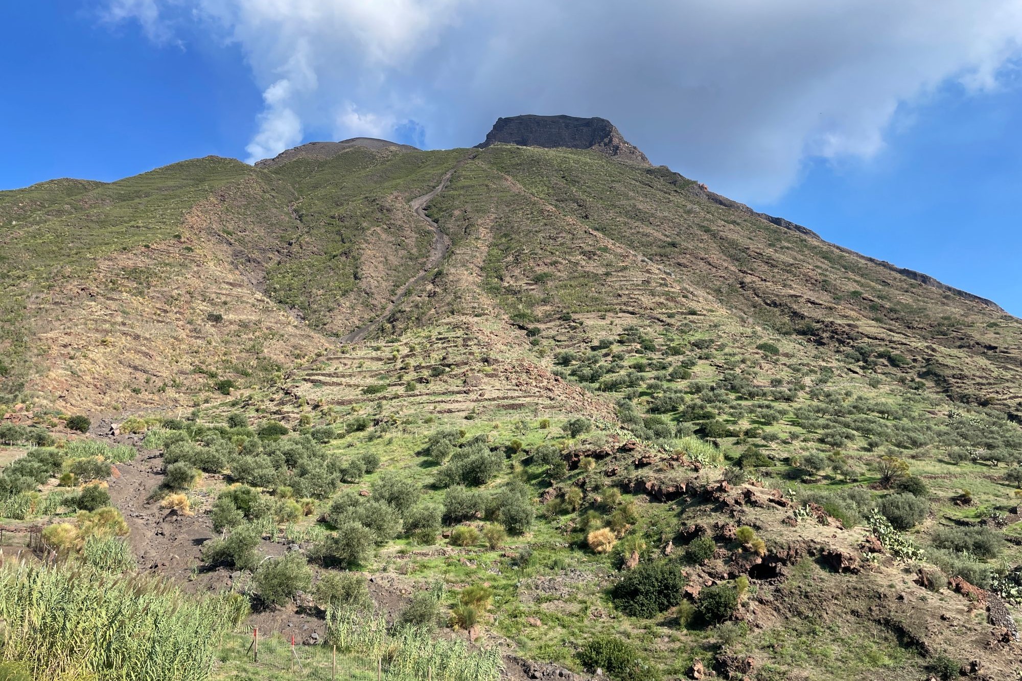 manfrin-